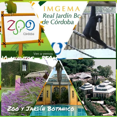 Apartment Tati Flat - 